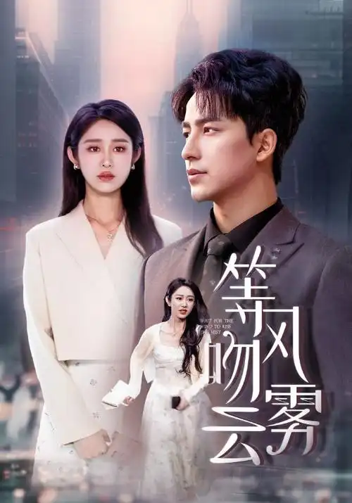 回声巷 剧集海报